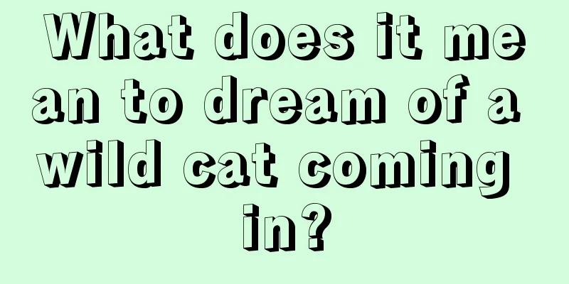 What does it mean to dream of a wild cat coming in?