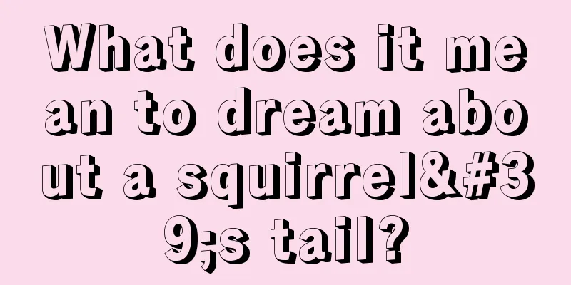 What does it mean to dream about a squirrel's tail?