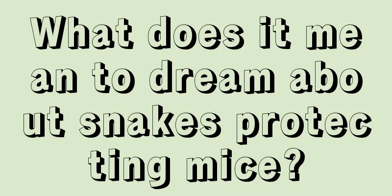 What does it mean to dream about snakes protecting mice?