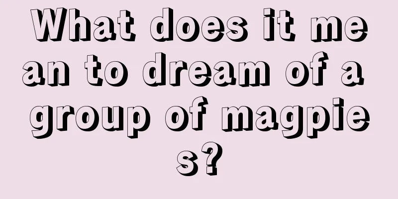 What does it mean to dream of a group of magpies?