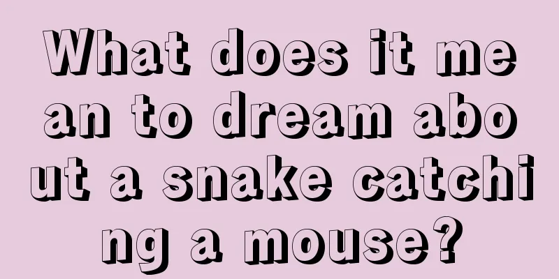 What does it mean to dream about a snake catching a mouse?