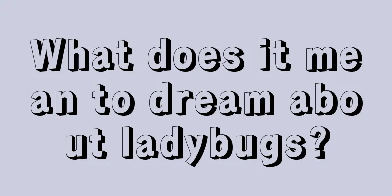 What does it mean to dream about ladybugs?