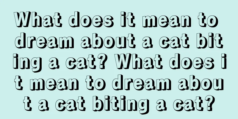 What does it mean to dream about a cat biting a cat? What does it mean to dream about a cat biting a cat?