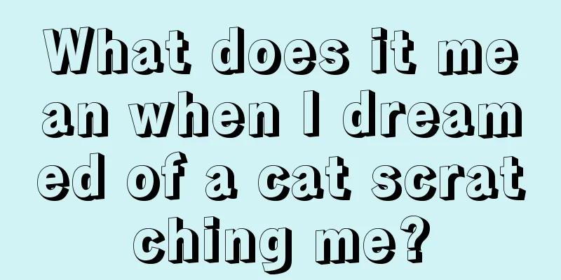 What does it mean when I dreamed of a cat scratching me?