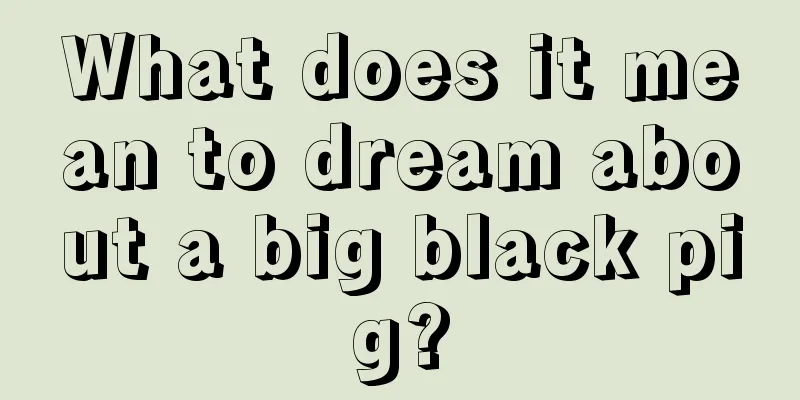 What does it mean to dream about a big black pig?