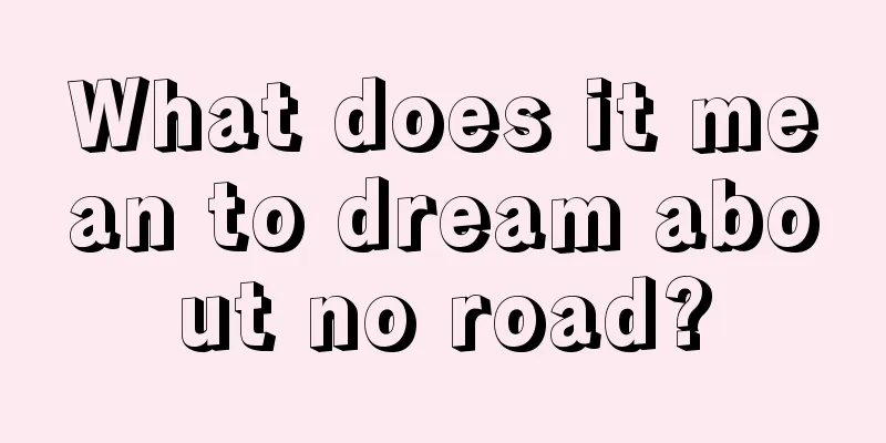 What does it mean to dream about no road?