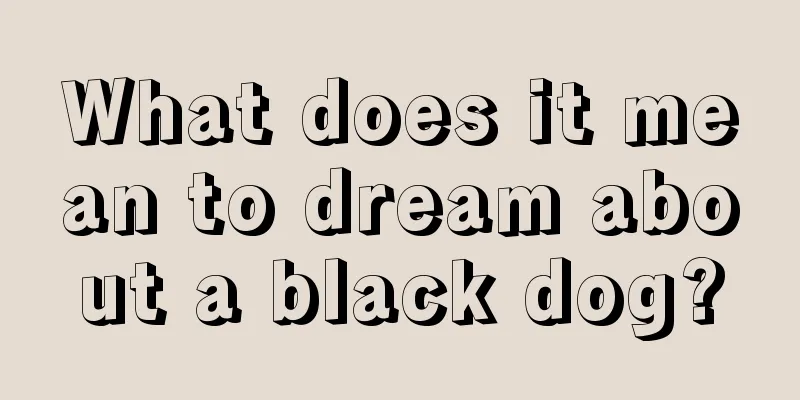 What does it mean to dream about a black dog?