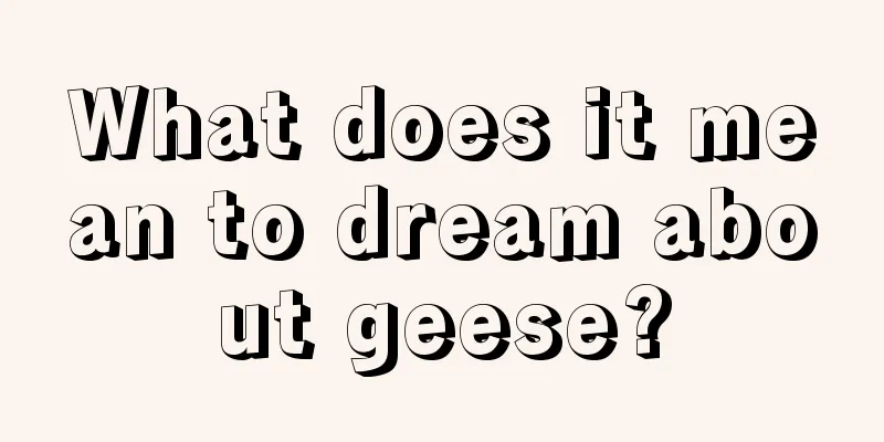 What does it mean to dream about geese?