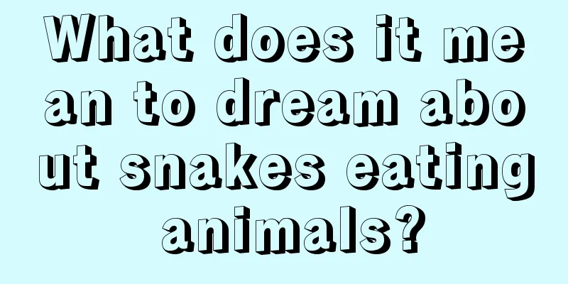 What does it mean to dream about snakes eating animals?