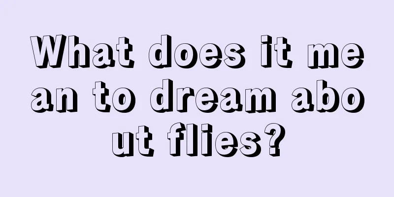 What does it mean to dream about flies?