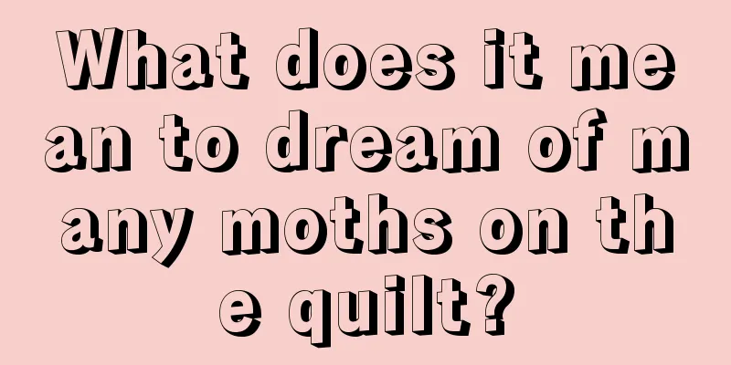 What does it mean to dream of many moths on the quilt?