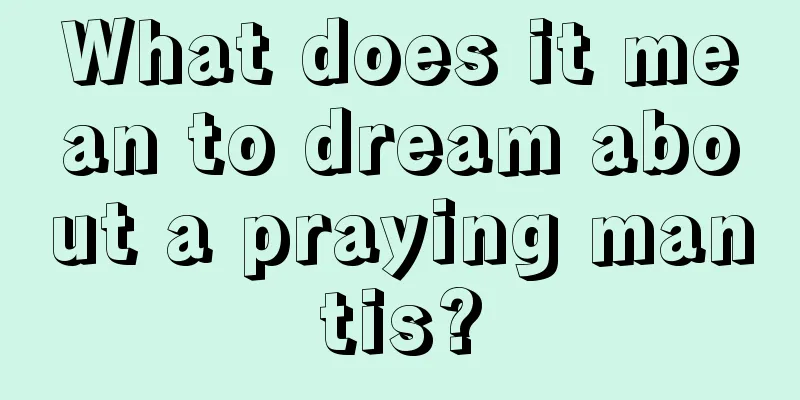 What does it mean to dream about a praying mantis?