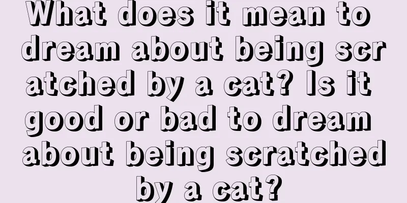 What does it mean to dream about being scratched by a cat? Is it good or bad to dream about being scratched by a cat?