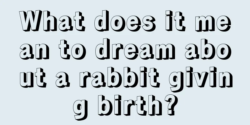 What does it mean to dream about a rabbit giving birth?