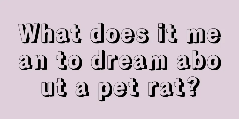 What does it mean to dream about a pet rat?