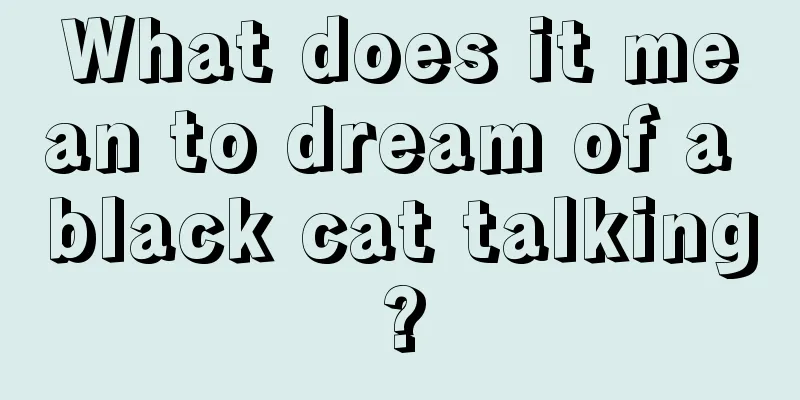 What does it mean to dream of a black cat talking?