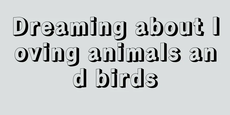 Dreaming about loving animals and birds