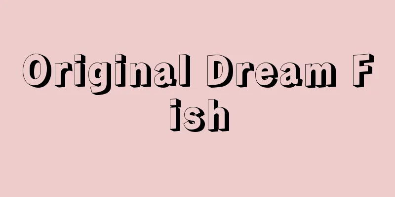 Original Dream Fish