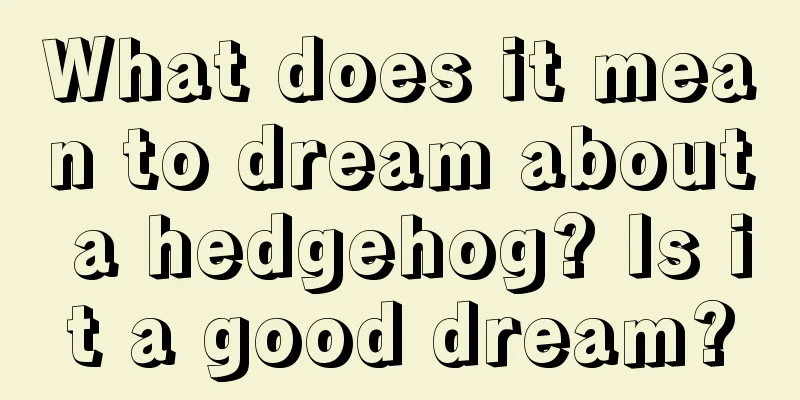 What does it mean to dream about a hedgehog? Is it a good dream?