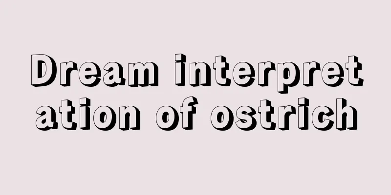 Dream interpretation of ostrich