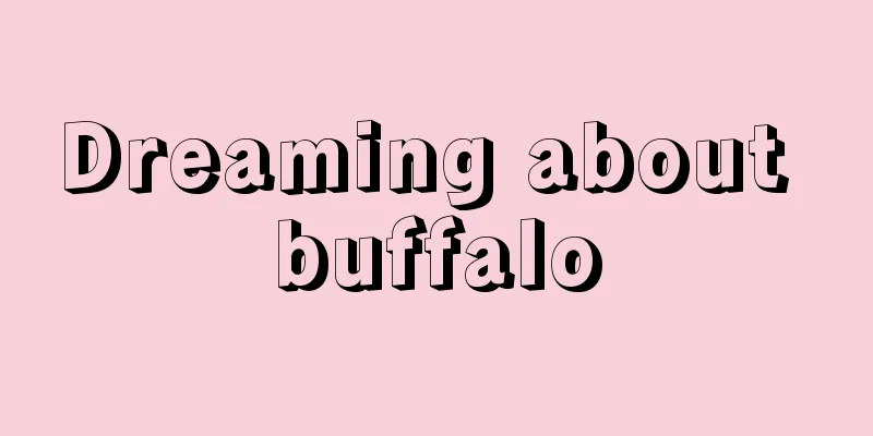 Dreaming about buffalo