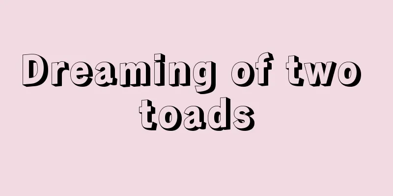 Dreaming of two toads