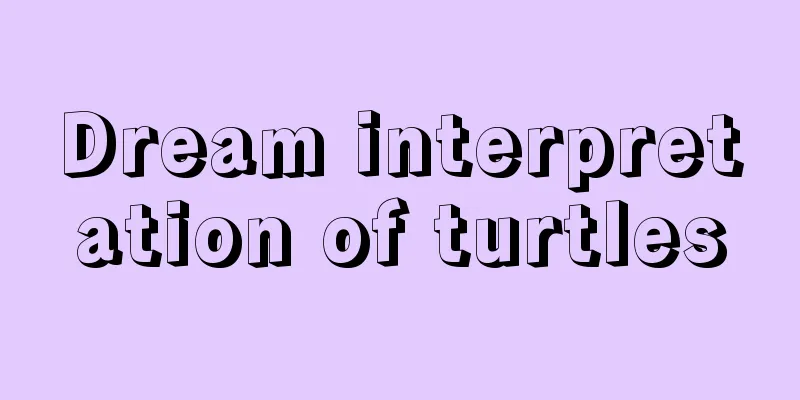 Dream interpretation of turtles