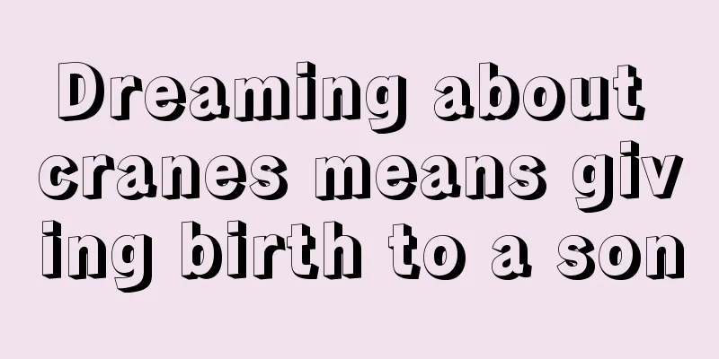 Dreaming about cranes means giving birth to a son