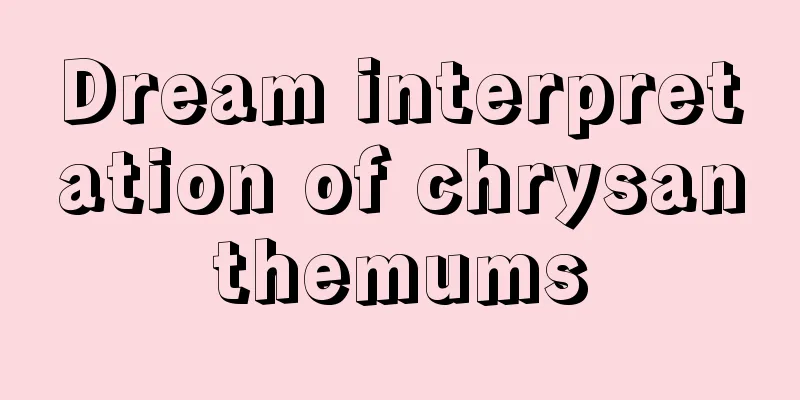 Dream interpretation of chrysanthemums