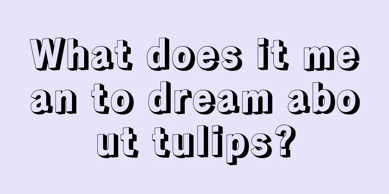 What does it mean to dream about tulips?