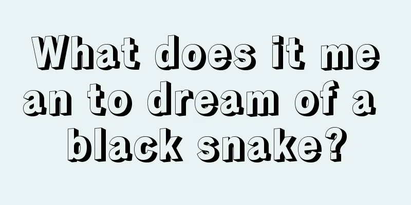 What does it mean to dream of a black snake?