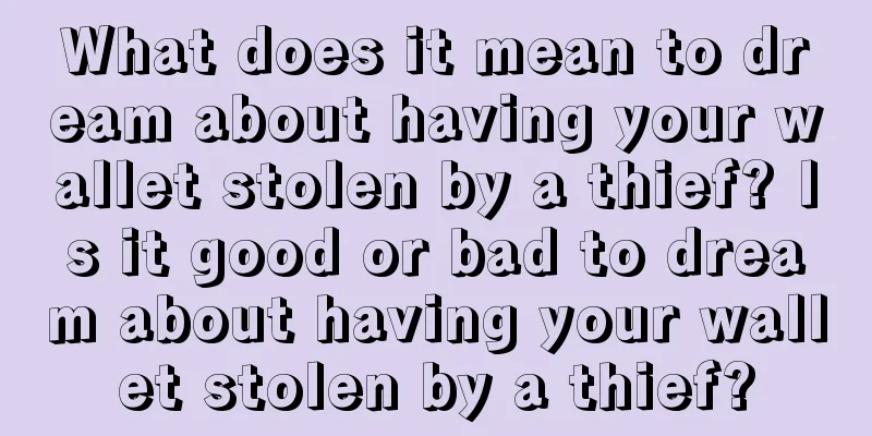 What does it mean to dream about having your wallet stolen by a thief? Is it good or bad to dream about having your wallet stolen by a thief?