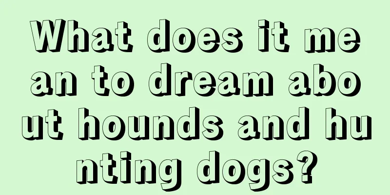 What does it mean to dream about hounds and hunting dogs?