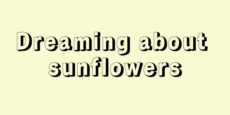 Dreaming about sunflowers