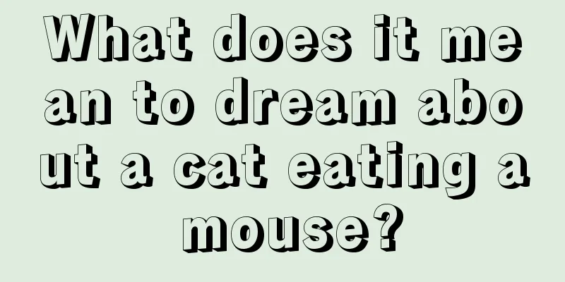 What does it mean to dream about a cat eating a mouse?