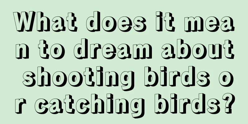 What does it mean to dream about shooting birds or catching birds?