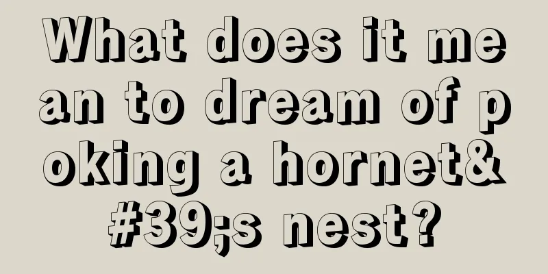 What does it mean to dream of poking a hornet's nest?