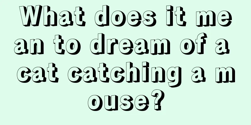 What does it mean to dream of a cat catching a mouse?