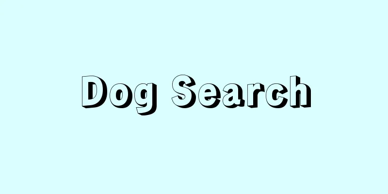 Dog Search