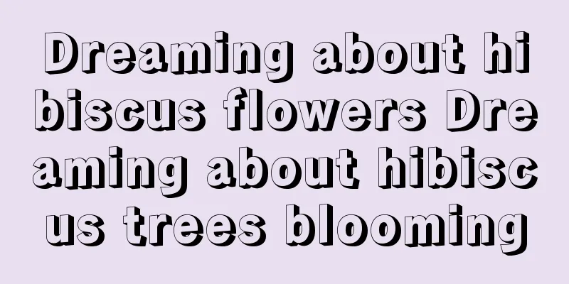 Dreaming about hibiscus flowers Dreaming about hibiscus trees blooming