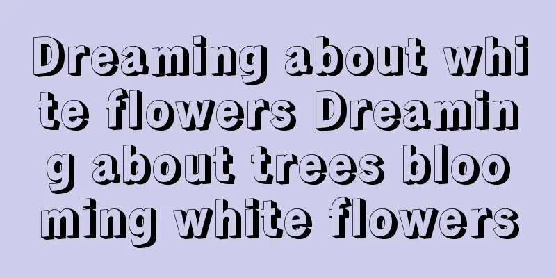 Dreaming about white flowers Dreaming about trees blooming white flowers