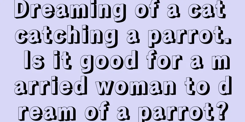 Dreaming of a cat catching a parrot. Is it good for a married woman to dream of a parrot?