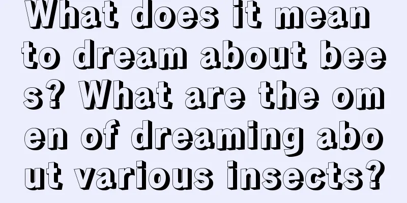 What does it mean to dream about bees? What are the omen of dreaming about various insects?