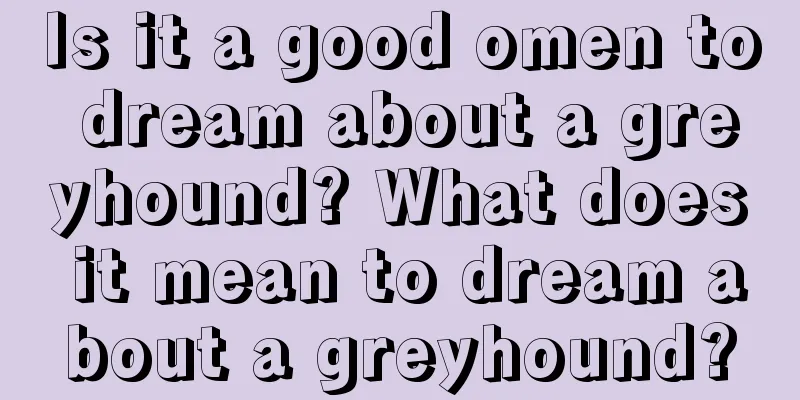 Is it a good omen to dream about a greyhound? What does it mean to dream about a greyhound?