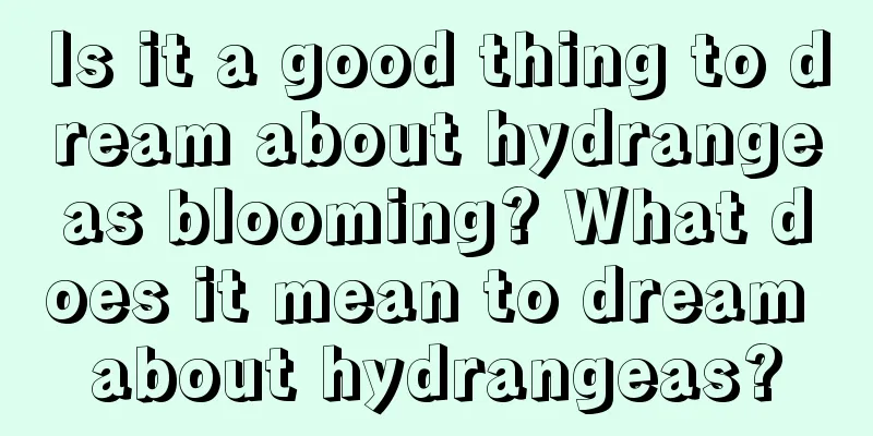 Is it a good thing to dream about hydrangeas blooming? What does it mean to dream about hydrangeas?