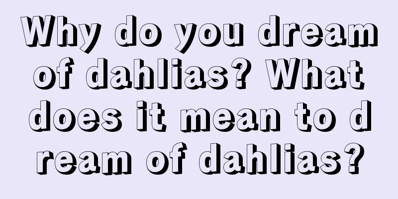 Why do you dream of dahlias? What does it mean to dream of dahlias?