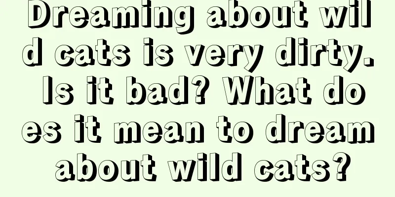 Dreaming about wild cats is very dirty. Is it bad? What does it mean to dream about wild cats?