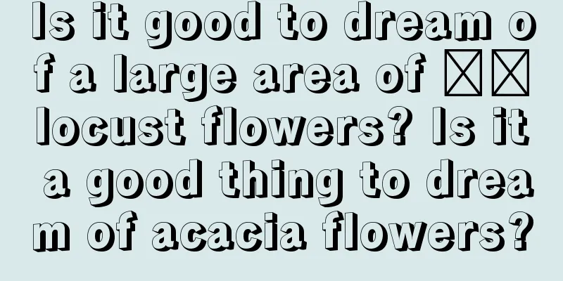 Is it good to dream of a large area of ​​locust flowers? Is it a good thing to dream of acacia flowers?