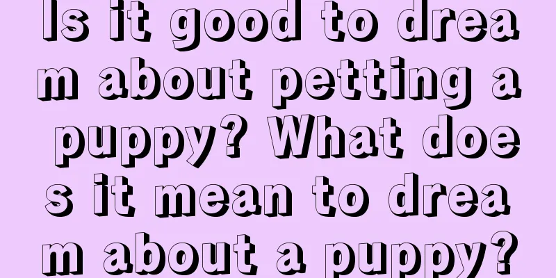 Is it good to dream about petting a puppy? What does it mean to dream about a puppy?