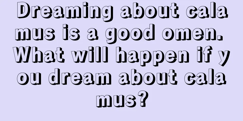 Dreaming about calamus is a good omen. What will happen if you dream about calamus?